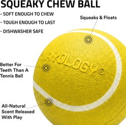 Playology Chicken Scented Squeaky Chew Ball Dog Toy, Jumbo slide 2 of 6