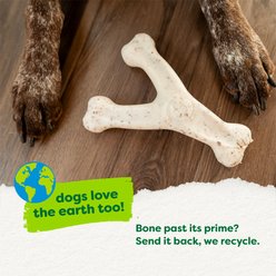 Benebone Green Wishbone Real Bacon Flavor Dog Chew Toy, Medium slide 2 of 9