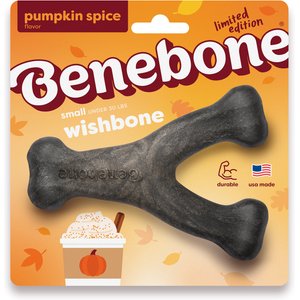 Benebone Wishbone Pumpkin Spice Tough Dog Chew Toy, Small