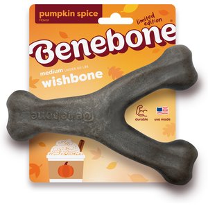 Benebone Wishbone Pumpkin Spice Tough Dog Chew Toy, Medium