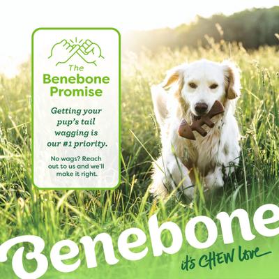 Show full view: Benebone 2-Pack Wishbone Fishbone Dog Chew Toy, Medium slide 9 of 11