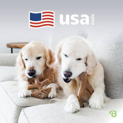 Show full view: Benebone 2-Pack Wishbone Fishbone Dog Chew Toy, Medium slide 7 of 11