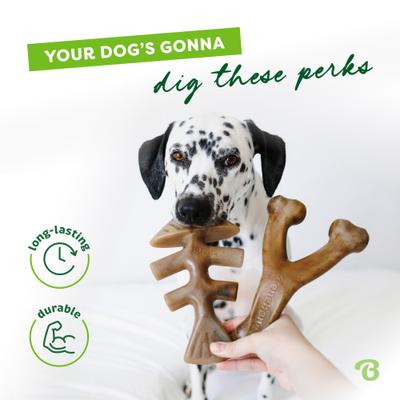 Show full view: Benebone 2-Pack Wishbone Fishbone Dog Chew Toy, Medium slide 6 of 11