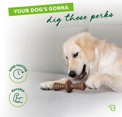 Benebone 2-Pack Maplestick Zaggler Dog Chew Toy, Medium slide 2 of 9