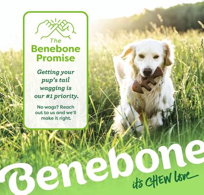 Show full view: Benebone Fishbone Dog Chew Toy, Medium slide 8 of 8