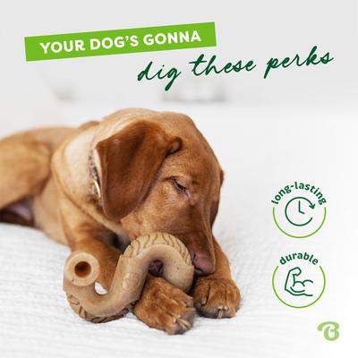 Show full view: Benebone Tripe Bone Tough Dog Chew Toy, Brown, Medium slide 6 of 9