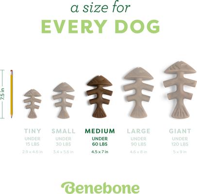 Show full view: Benebone Fishbone Dog Chew Toy, Medium slide 4 of 8