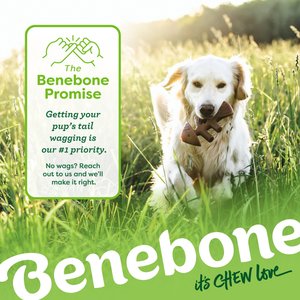 Benebone Multipack Durable Dog Chew Toy, 4 count