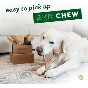 Benebone Multipack Durable Dog Chew Toy, 4 count