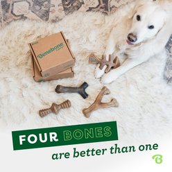 Benebone Multipack Durable Dog Chew Toy, 4 count slide 2 of 6