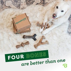 Benebone Multipack Durable Dog Chew Toy, 4 count