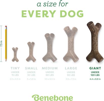 Show full view: Benebone Maplestick Chew Dog Toy slide 4 of 9