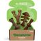 Show in main carousel: Benebone Multipack Durable Dog Chew Toy, 4 count slide 1 of 6