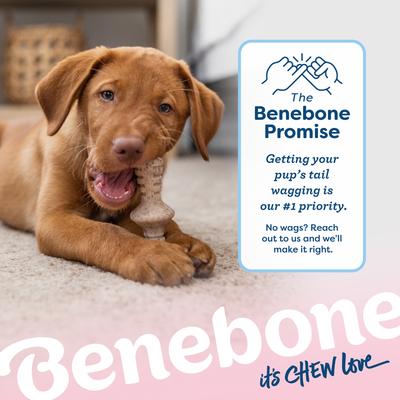 Show full view: Benebone Bacon Flavor Tough Puppy Chew Toy, 2 count slide 9 of 11