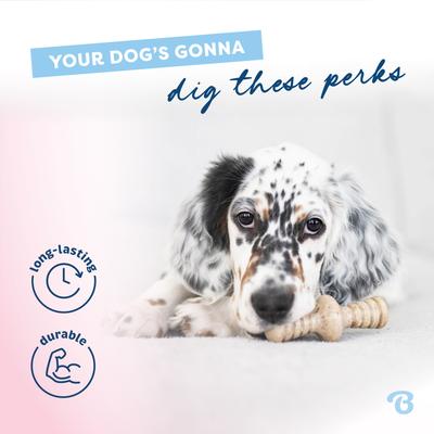 Show full view: Benebone Bacon Flavor Tough Puppy Chew Toy, 2 count slide 8 of 11
