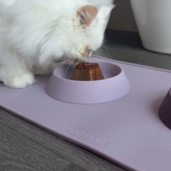 Houndstone The Original Dishwasher Safe Silicone Cat Bowl, 0.5-cup, Slate Grey slide 2 of 8