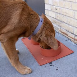 Houndstone The Pony Dishwasher Safe Silicone Dog Bowl, Medium, Plum slide 2 of 9