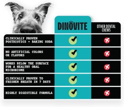 Dinovite Triple Action Oral Care Large Dog Dental Chew Treats, 4 count slide 2 of 9
