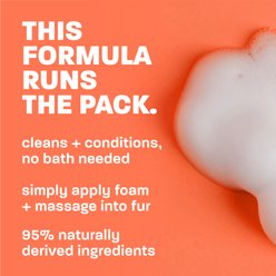 TropiClean Dry No Rinse Waterless Papaya & Coconut Dog & Cat Shampoo, 7.4-fl oz slide 2 of 9