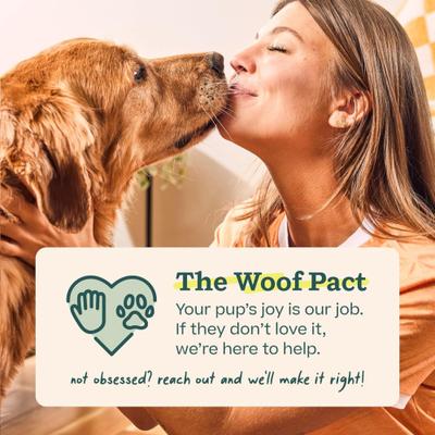 Show full view: Woof Party Pupsicle Treat Dispensing Dog Toy, Dark Green, Large slide 8 of 9