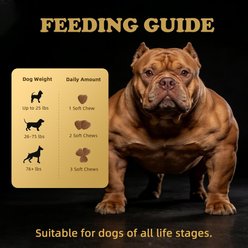 Petterm Muscle Gain Salmon Flavored Powder High Calorie Soft Chew Supplement for Dogs, 100 count slide 2 of 8