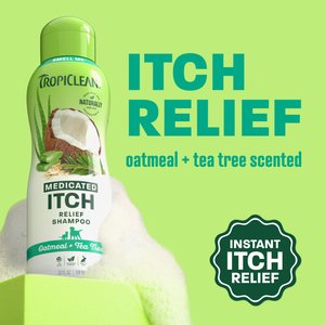 TropiClean Medicated Itchy Skin Relief Oatmeal & Tea Tree Dog Shampoo, 20-fl oz bottle