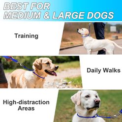 BARKBAY Martingale Reflective Dog Collar & Leash, Sapphire Blue, 27.5 to 29.5-in neck, 3/8-in wide slide 2 of 9