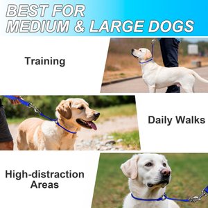 BARKBAY Slip Lead for Dog Collar & Leash, Sapphire Blue, 11.5 to 13.5-in neck, 3/8-in wide