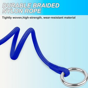 BARKBAY Slip Lead for Dog Collar & Leash, Sapphire Blue, 11.5 to 13.5-in neck, 3/8-in wide
