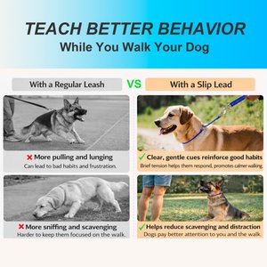 BARKBAY Slip Lead for Dog Collar & Leash, Sapphire Blue, 11.5 to 13.5-in neck, 3/8-in wide
