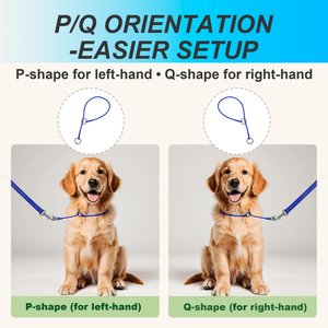 BARKBAY Slip Lead for Dog Collar & Leash, Sapphire Blue, 11.5 to 13.5-in neck, 3/8-in wide