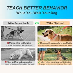 BARKBAY Slip Lead for Dog Collar & Leash, Red, 9.5 to 11.5-in neck, 3/8-in wide slide 2 of 9