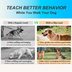 BARKBAY Martingale Reflective Dog Collar & Leash, Pink, 27.5 to 29.5-in neck, 3/8-in wide slide 2 of 9