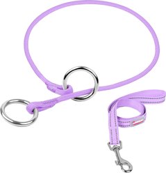 BARKBAY Martingale Reflective Dog Collar & Leash, Violet Purple, 21.5 to 23.5-in neck, 3/8-in wide slide 1 of 9