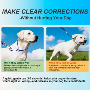 BARKBAY Slip Lead for Dog Collar & Leash, Sapphire Blue, 11.5 to 13.5-in neck, 3/8-in wide