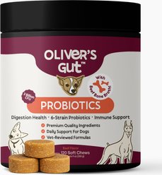 Oliver's Gut Probiotics Soft Chews with Pumpkin, Papaya, Beef Bone Broth Digestive Aid for Dogs, 120 count
