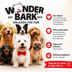Wonder Bark Everyday Punkin Pie Variety Flavor Crunchy Dog Treats, 6-oz bag slide 2 of 6