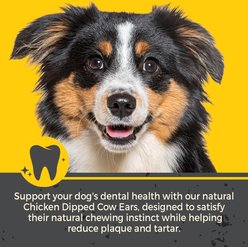 Canine Naturals Chicken Dipped Cow Ears Natural Dog Chew Treats, 3-oz bag, 3 count slide 2 of 6