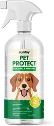 Sunday Protect Dog Flea & Tick Spray, 24-fl oz bottle