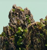 Natural Rock