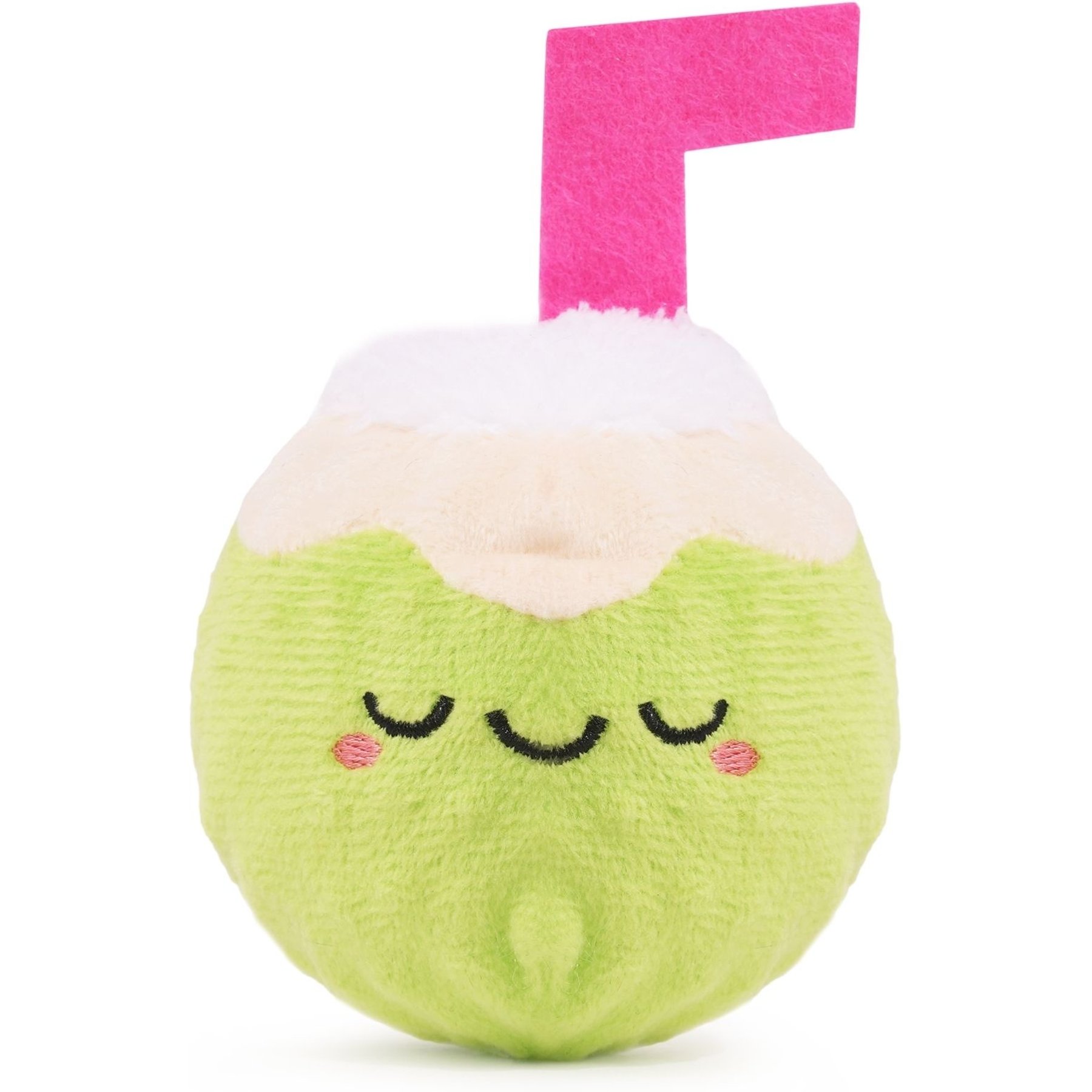 HugSmart Squeaky Spiky Ball Plush Coconut Dog Toy, Medium