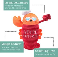 HugSmart Lobster Plush with Rope Tug Dog Toy, Medium/Large slide 2 of 4