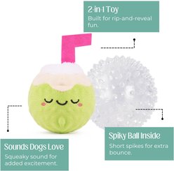 HugSmart Squeaky Spiky Ball Plush Coconut Dog Toy, Medium slide 2 of 4