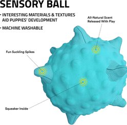 Playology Peanut Butter Scented Young & Active Sensory Ball Dog Toy, Small slide 2 of 6