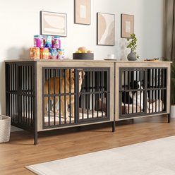 IronovaPets Double-Compartment Furniture Style Dog Crate, White