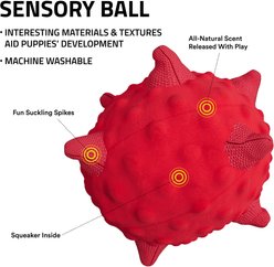 Playology Beef Scented Young & Active Sensory Ball Dog Toy, Small slide 2 of 6