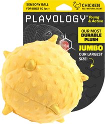 Playology Chicken Scented Young & Active Sensory Ball Dog Toy, Jumbo