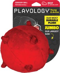 Playology Beef Scented Young & Active Sensory Ball Dog Toy, Jumbo
