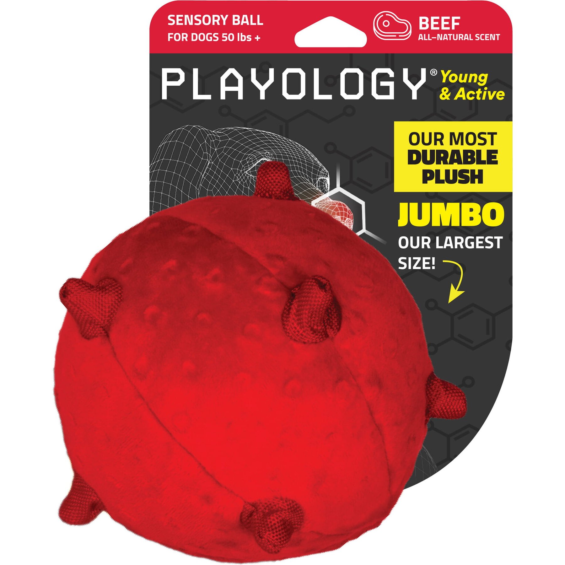 Playology Beef Scented Young & Active Sensory Ball Dog Toy, Jumbo