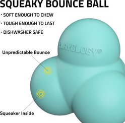 Playology Peanut Butter Scented Squeaky Bounce Ball Dog Toy, Jumbo slide 2 of 6